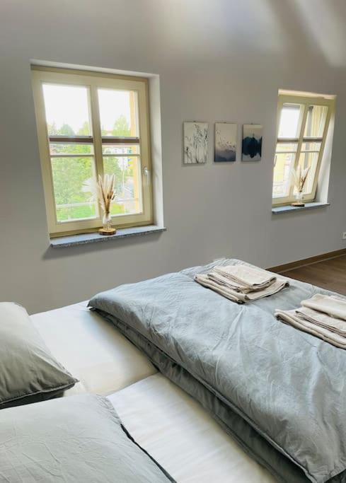 Traumvilla Im Herzen Hainichens Εξωτερικό φωτογραφία